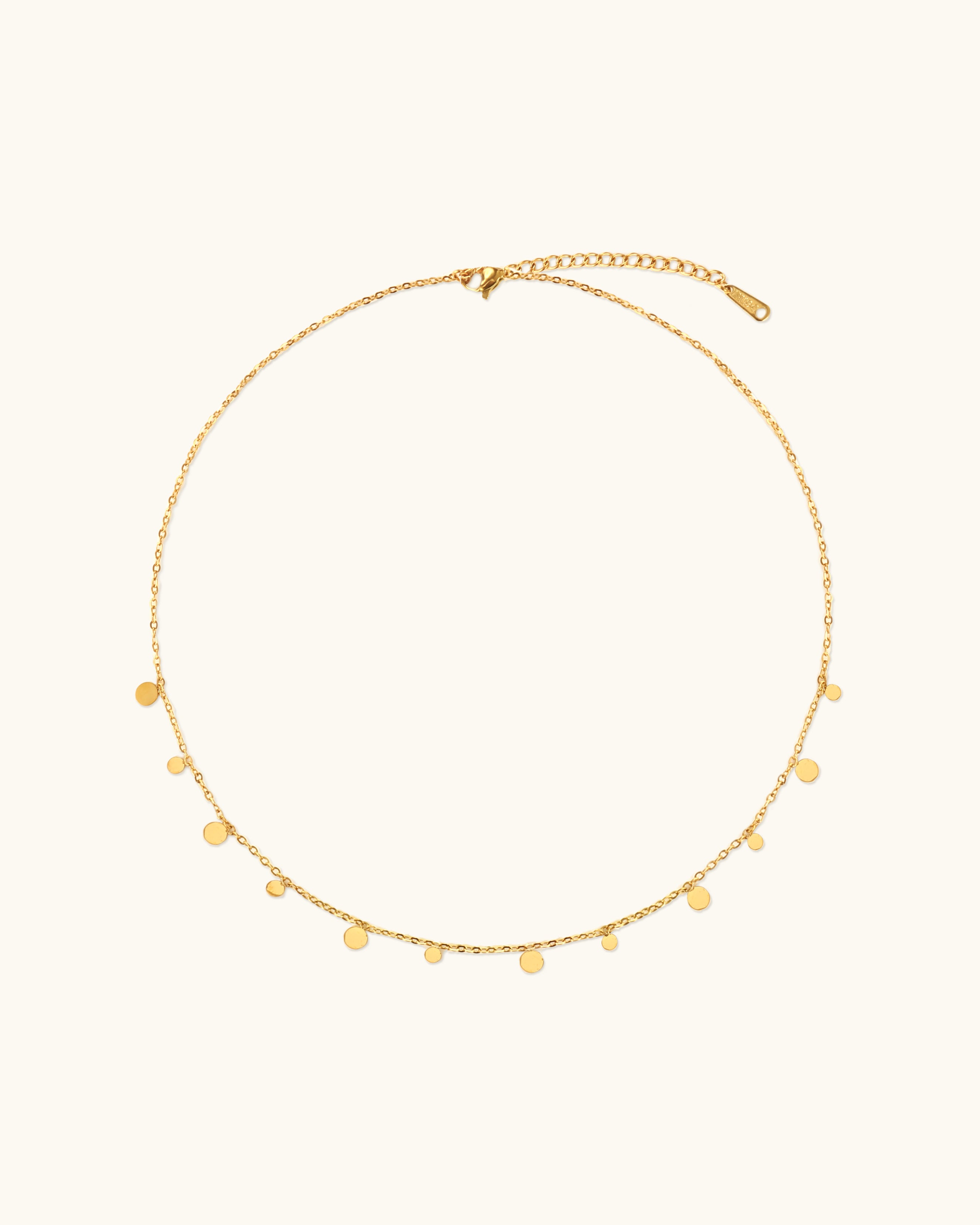Disc Choker Necklace