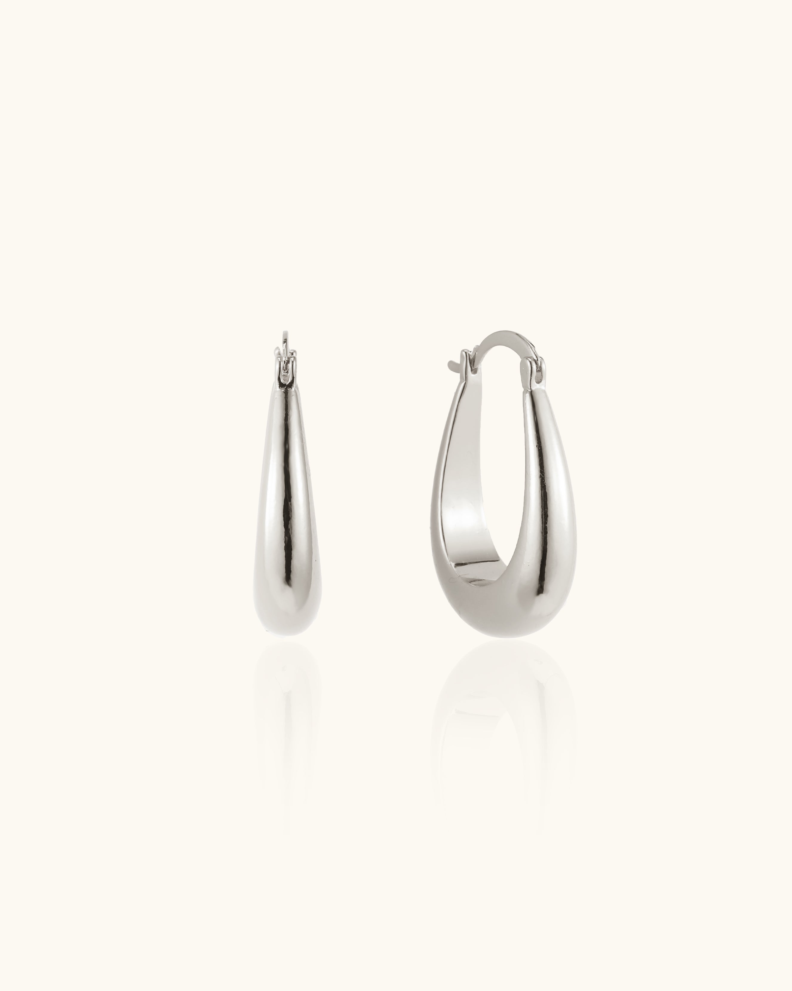 Horseshoe Earrings